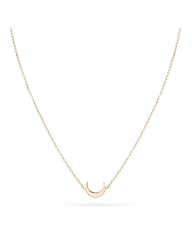 Everyday Little Crescent Moon Necklace (14K Gold) online