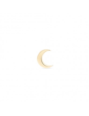 Everyday Little Crescent Moon Earring (14K Gold) Voir les baskets