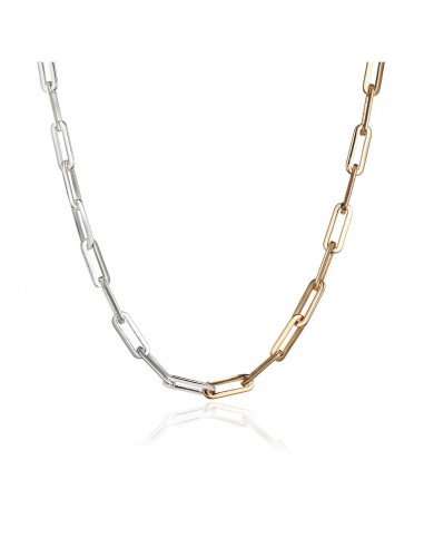 Stevie Slim Necklace (Two-Tone) Faites des économies