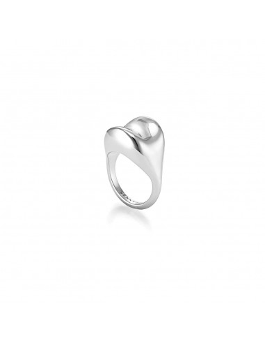 Arlo Ring (Silver) le des métaux précieux