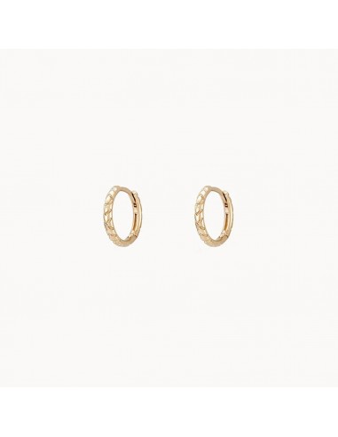 Revival Huggie Earrings (14K Gold) la chaussure