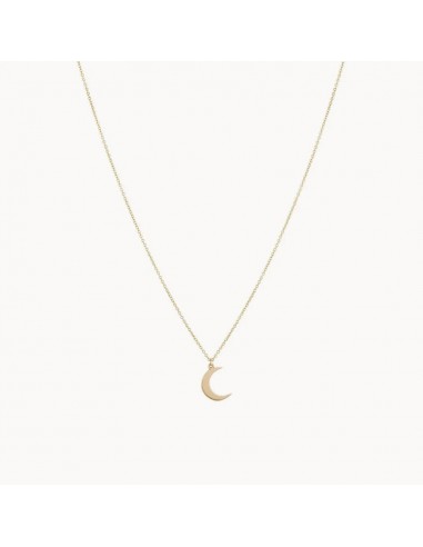 Crescent Sway Moon Necklace (14K Gold) brillant des détails fins