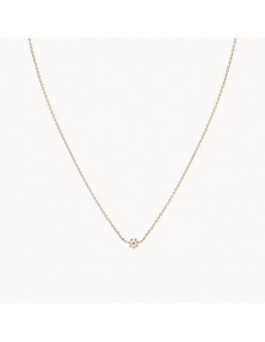 Dainty Diamond Nova Necklace (14K Gold) de votre