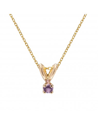 Birthstone Pendant - February Amethyst plus qu'un jeu 