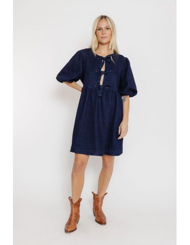 Ambrose Dress in Denim de technologie