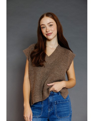 Lexi Sweater Vest in Brown Amélioration de cerveau avec