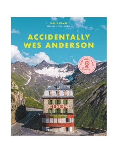 Accidentally Wes Anderson Amélioration de cerveau avec